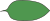 ein Blatt des Agenturbaums in grün